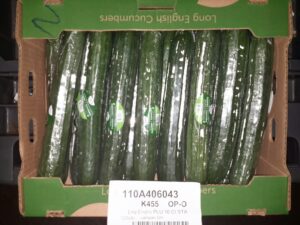 Cucumbers November 2015 2