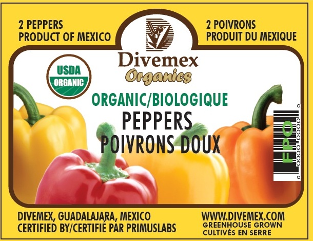 Divemex 2 pack organic