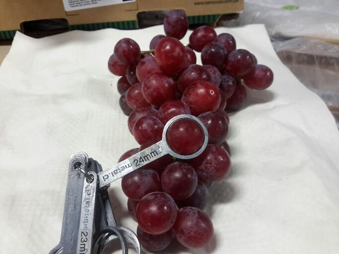 Grapes December 2015