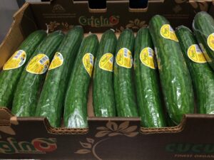 OriginO Cucumbers June 2015