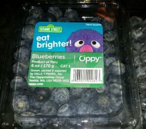 blueberries first grover