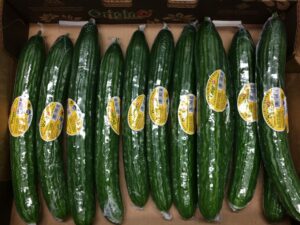 cukes in boxes 2