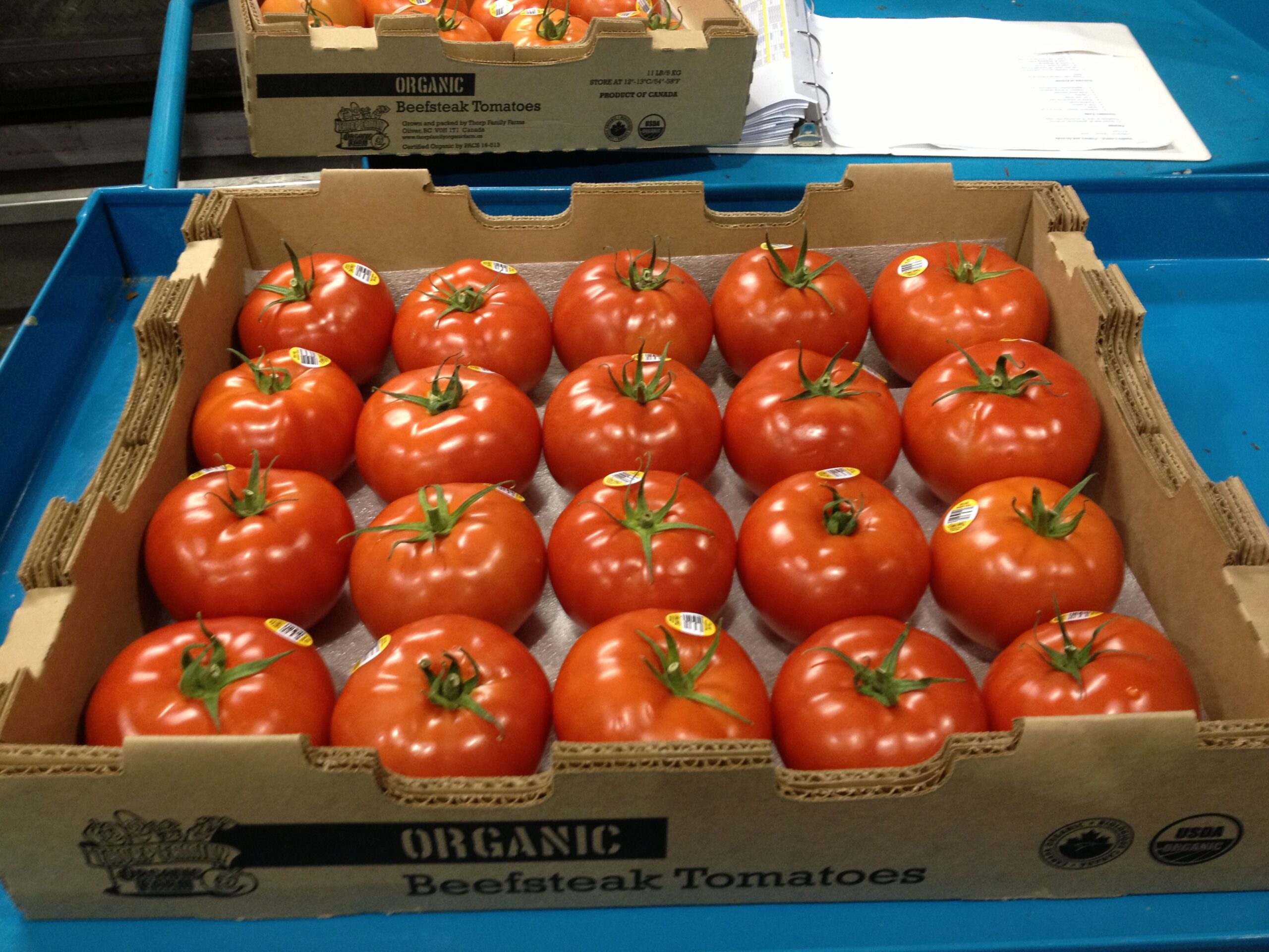tomato pack 4