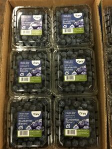 Blueberries May 2016_0