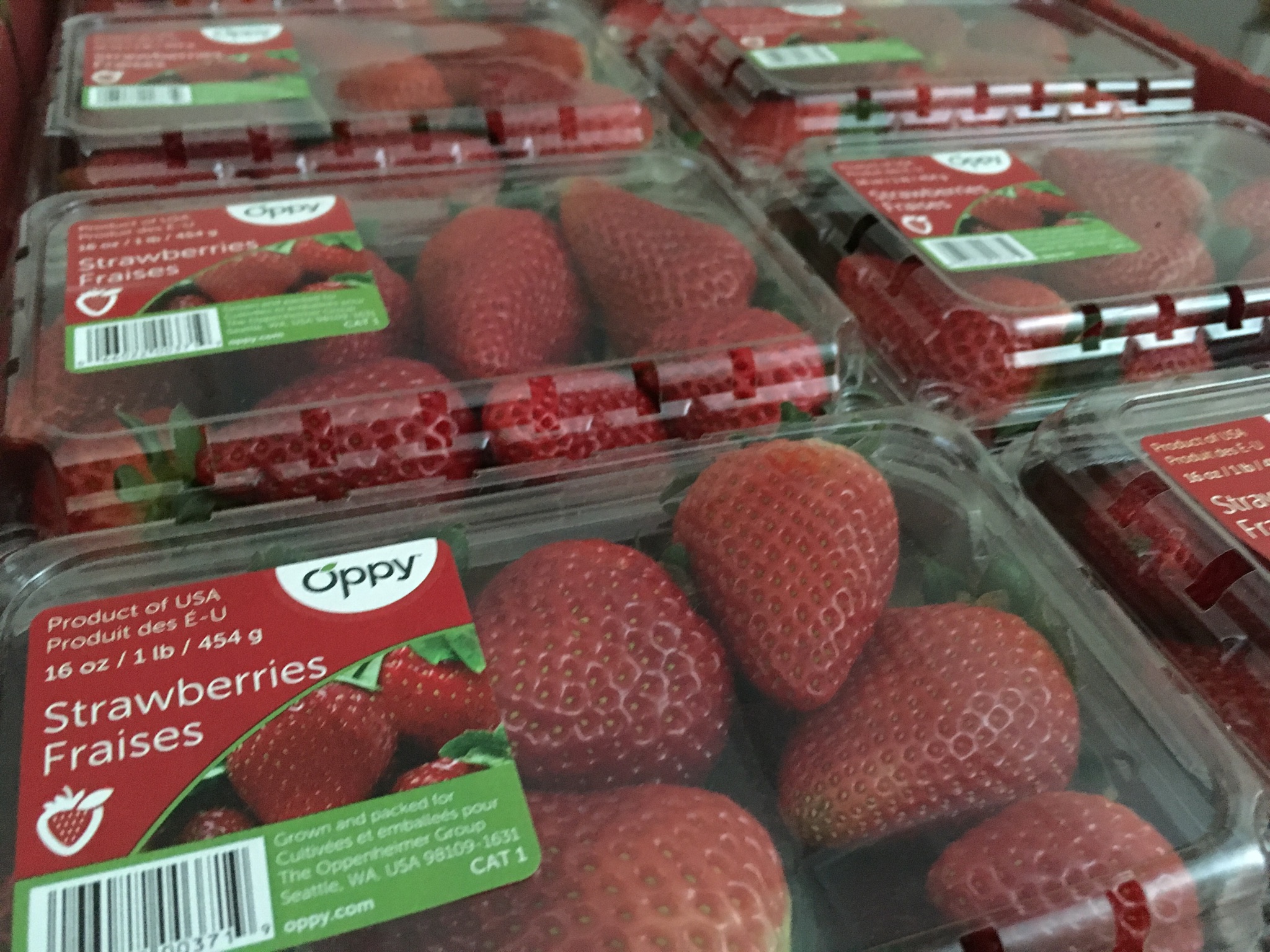 Our News Sweet California strawberries Oppy