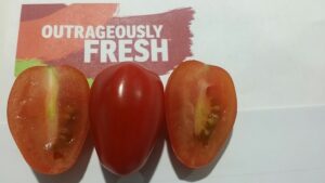 Grape Tomato (4)