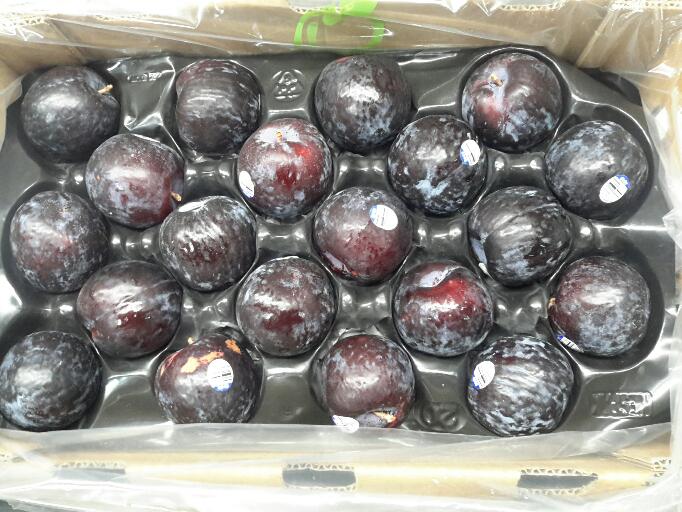 Our News Posh plums from Chile Oppy