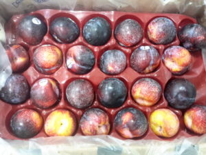 Chilean Larry Anne Plums