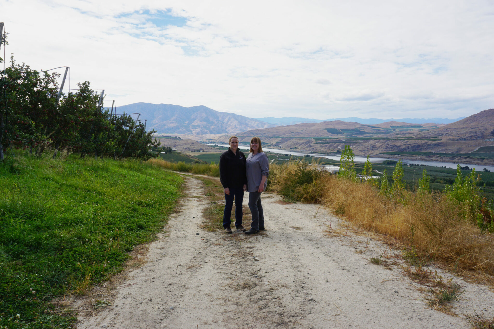 Our News - Pacific Rose™ apple shines at Crane Family Orchards - Oppy 