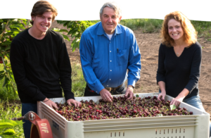 Orchard View Cherries in the Dalles, Oregon