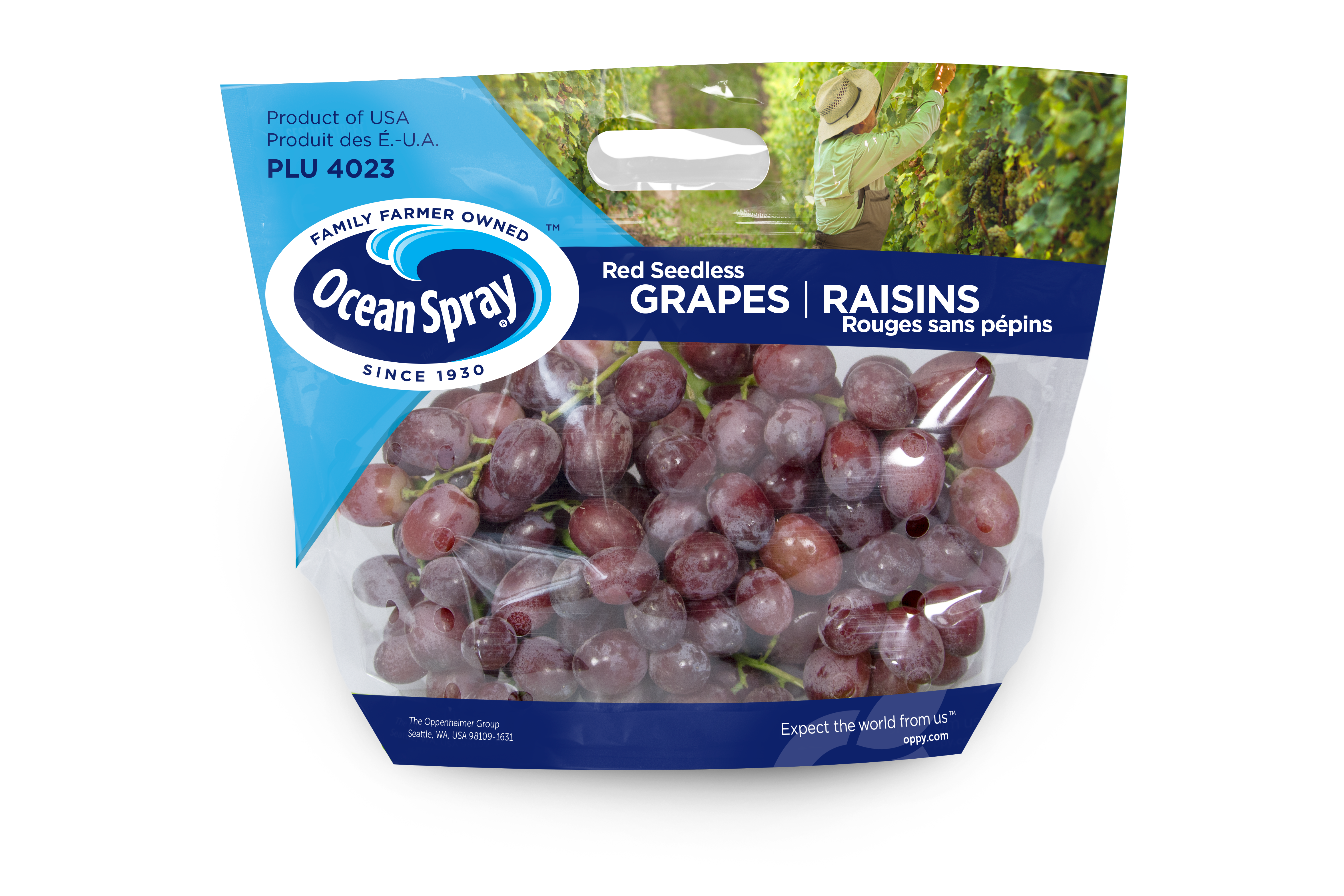 Grapes - Oppy