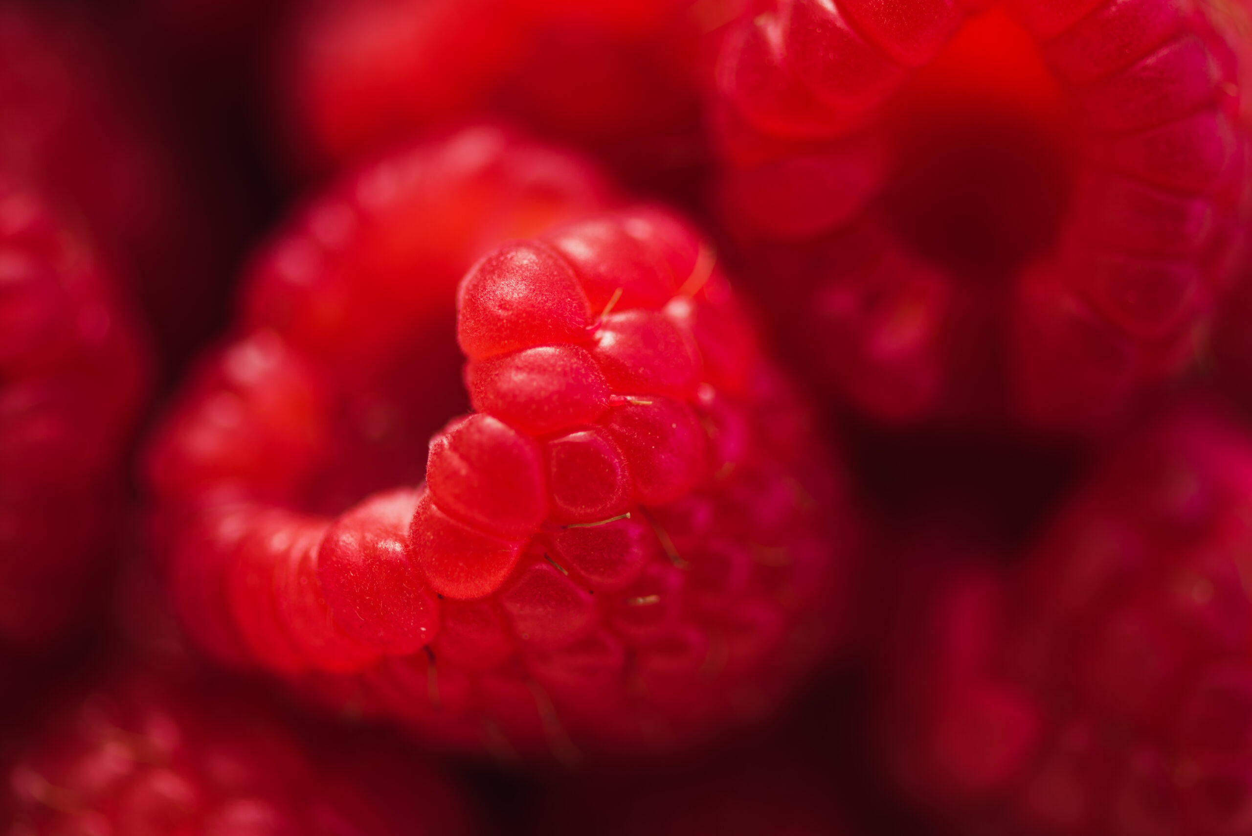 close-up-of-berries-raspberries-macrophoto-with-strobe-light