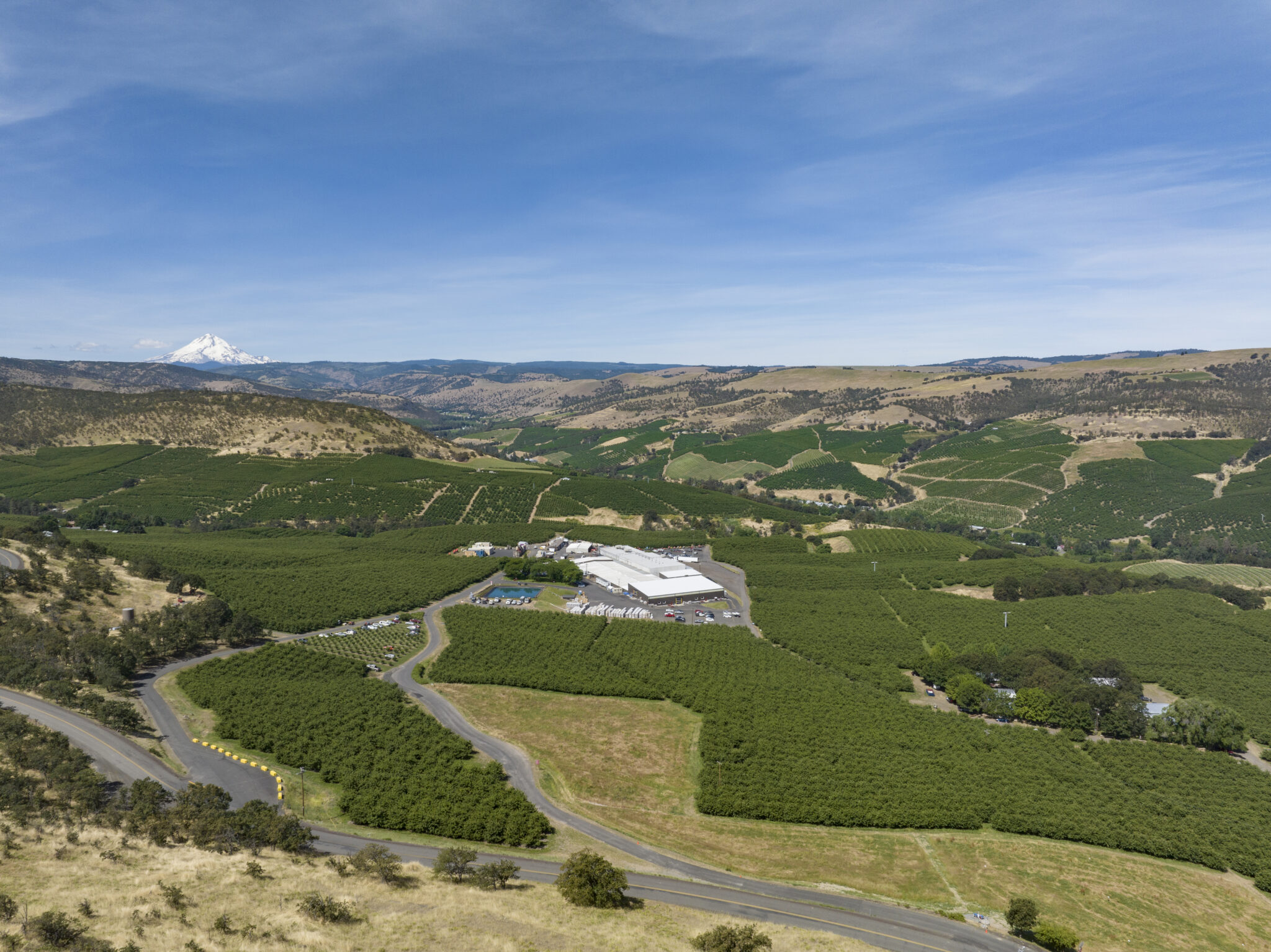 Our News - Orchard View Cherries to deliver standout season with 30% ...